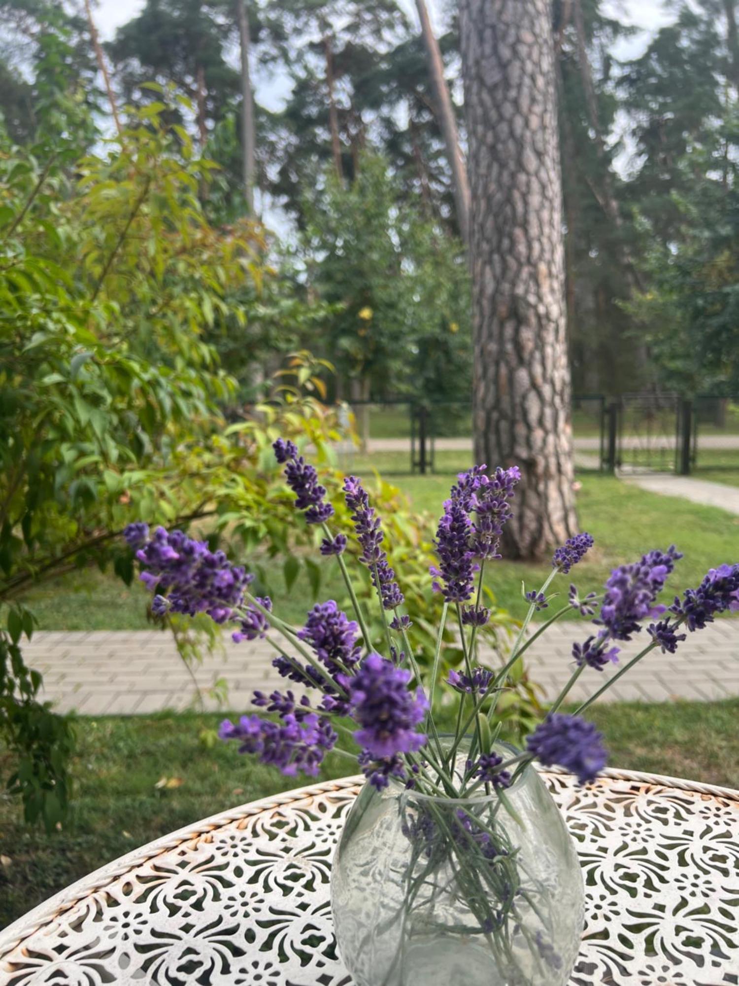 Kulautuva Park Apartments Экстерьер фото